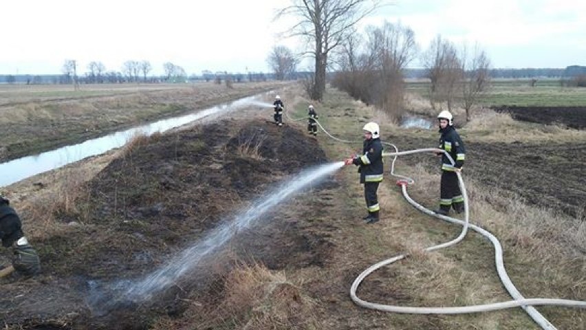 Pożar w Wilkowie Polskim FOTO