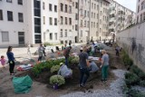 Wrocław. Tak zmienia się Trójkąt Bermudzki. I robią to sami mieszkańcy! Zobaczcie! 