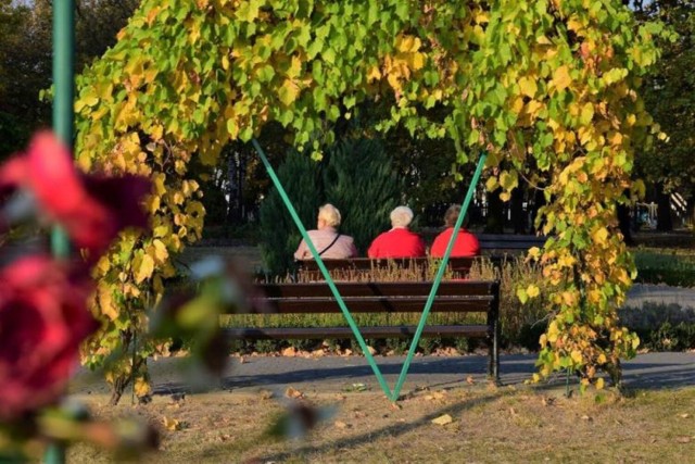 Przypomnijmy: do zdarzenia doszło 15 czerwca około 13.00 na terenie Parku Solankowego w Inowrocławiu