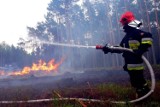 Susza w Łódzkiem. Strażacy apelują: Już spłonęło 357 hektarów lasów i traw!