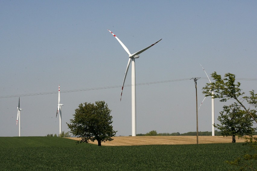 EWG Taczalin pod Legnicą - Trwa budowa elektrowni wiatrowej
