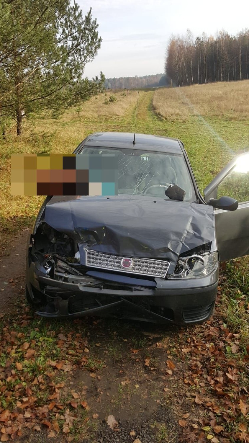 Zderzenie samochodu z jeleniem na DK11 koło Szczecinka [zdjęcia]