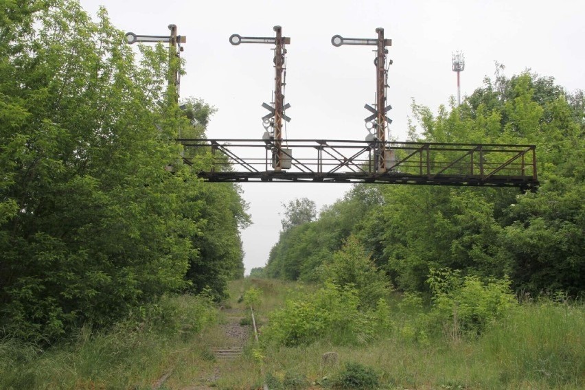 Rewitalizacja linii kolejowej nr 368 Międzychód - Szamotuły. Zadanie już w WPF-ie. Czy jeden z przejazdów w Szamotułach zostanie zamknięty?