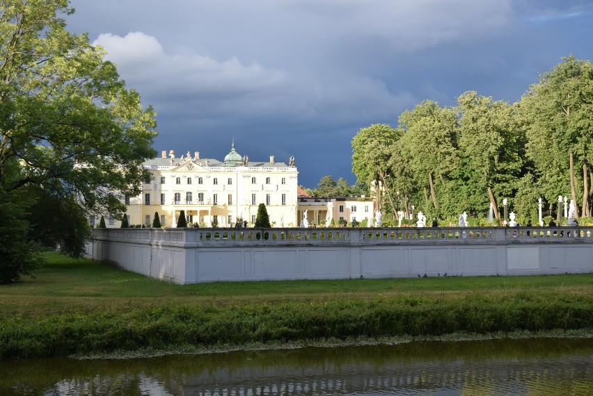 Białystok wcale nie jest najbardziej zielonym miastem w Polsce! Wyprzedziła nas nawet Łódź, ale za nami jest Gdańsk!