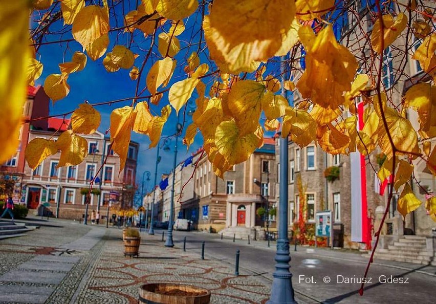 Jesień w Wałbrzychu. Śródmieście skąpane złotem liści (ZDJĘCIA)