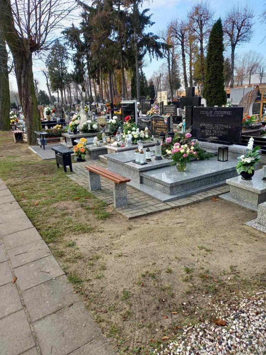 Monitoring na starym cmentarzu przy Łaskiej w Zduńskiej Woli