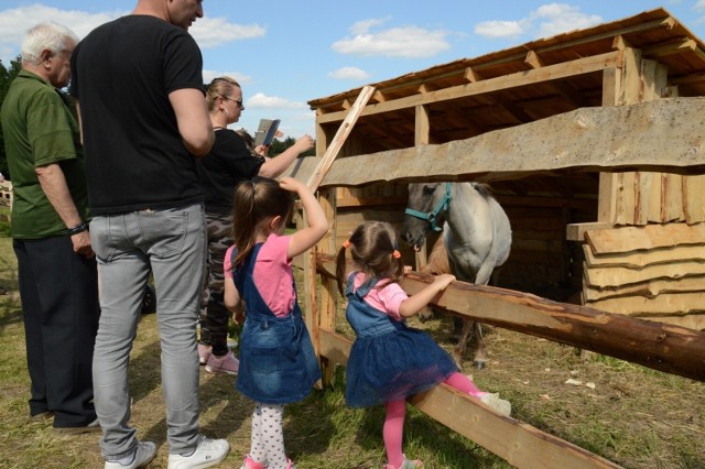 Na liście najlepszych ogrodów zoologicznych i safari są duże i od dawna uznane atrakcje oraz "wschodzące gwiazdy". Kliknij w naszą galerię i sprawdź, które są w TOP 10