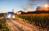 Pożar fermy drobiu pod Toruniem. Pali się kurnik, w którym jest 15 tys. kurczaków!