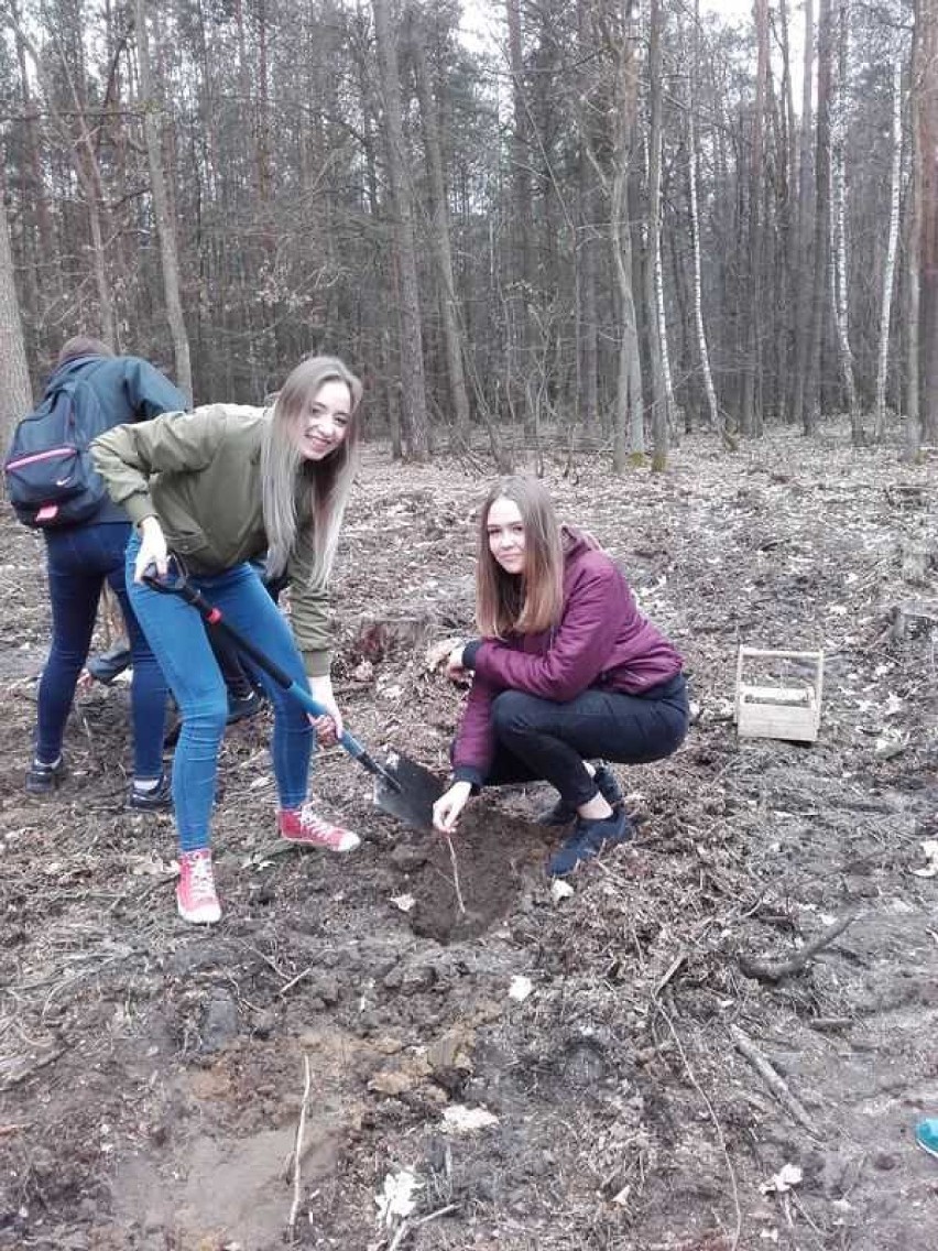 "Posadź swoje drzewo". Uczniowie z Lubartowa wzięli udział w akcji