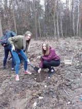 "Posadź swoje drzewo". Uczniowie z Lubartowa wzięli udział w akcji