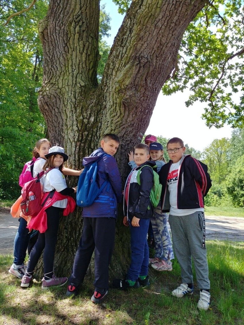 Uczniowie z Dąbrówki Wielkiej (gm. Zgierz) wzięli udział w akcji ekologicznej. Przytulali drzewa. 