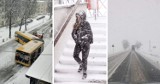 Śnieżyca w woj. śląskim - nadciągnął Cyklon Piotr! Zrobi się niebezpiecznie i mroźno. Sytuacja na drogach bardzo trudna [03.02.2023]