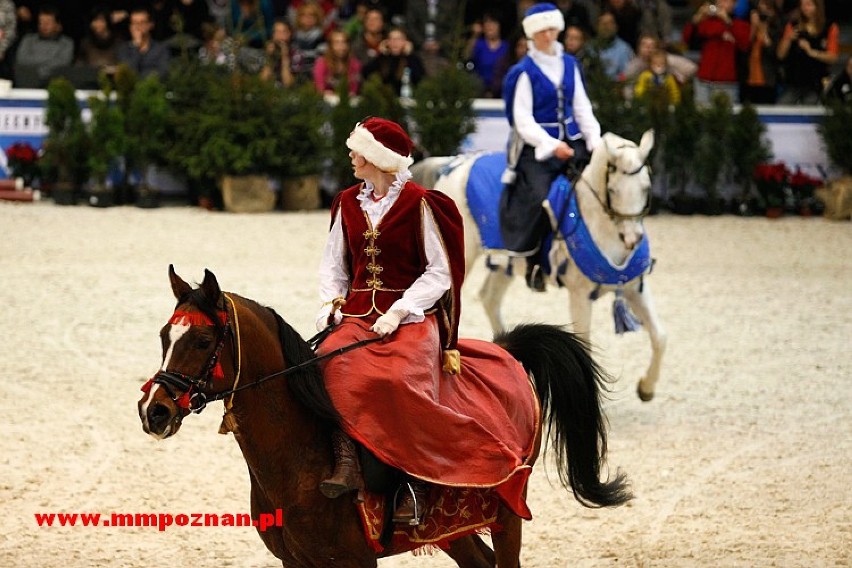 Prezentacja koni pełnej krwi arabskiej to prawdziwy festiwal...