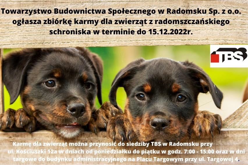 TBS Radomsko organizuje zbiórkę karmy dla zwierząt ze schroniska