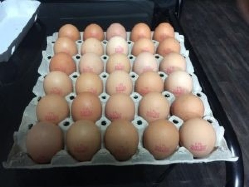 Jajka dużego producenta wycofywane są ze sklepów. Kontrola...