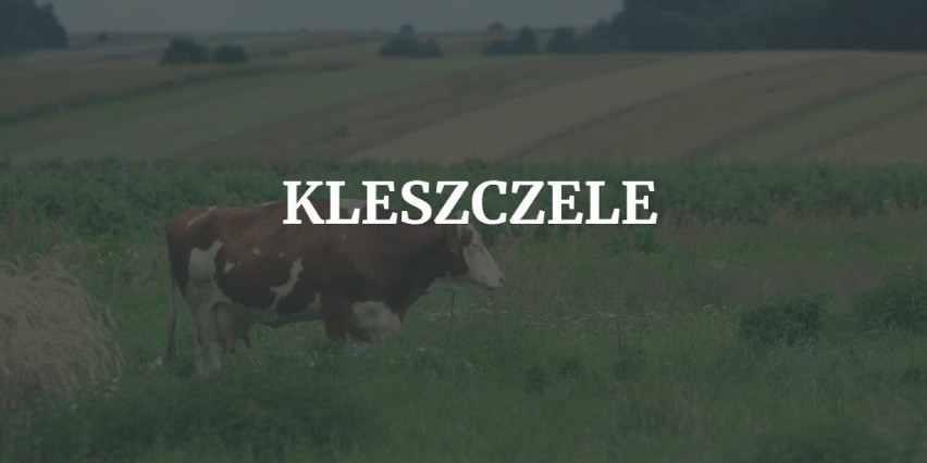 7. Kleszczele...