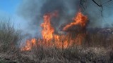 W sobotę aż 50 pożarów suchej trawy na Sądecczyźnie [ZDJĘCIA]