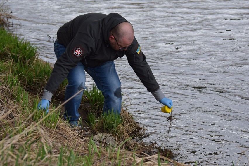 "Czysty Wisłok" w Krośnie. Do akcji sprzątania brzegów rzeki przyłączyli się uchodźcy z Ukrainy. "To nasze podziękowanie" [ZDJĘCIA]