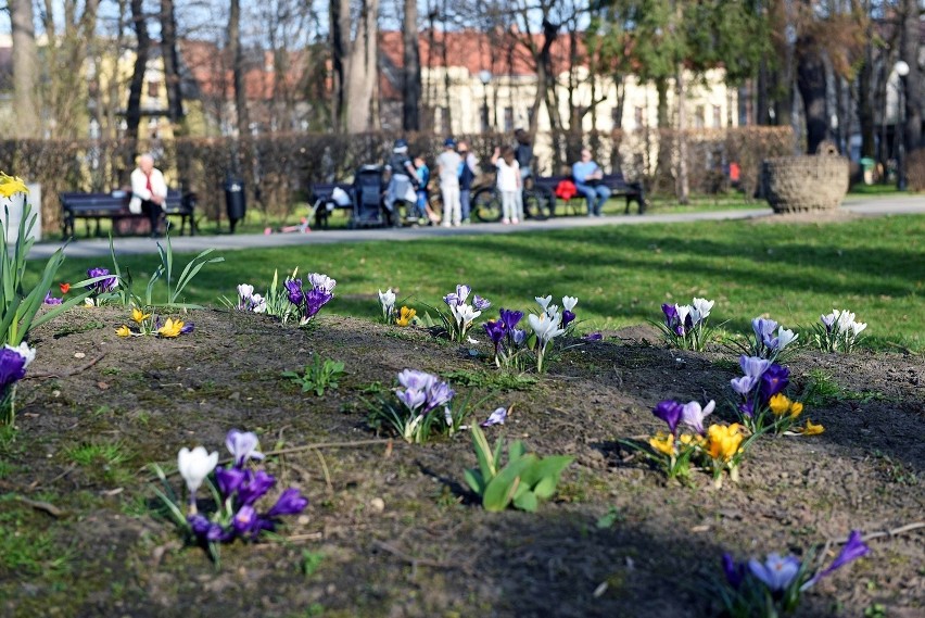 Piękny weekend sądeczanie spędzili na świeżym powietrzu [ZDJĘCIA]