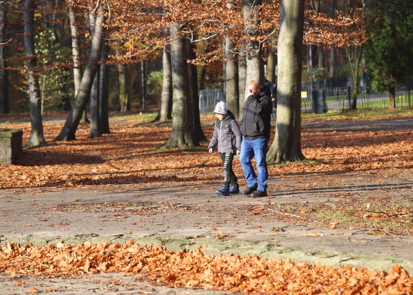 Jesień w parku w Parku Kultury i Wypoczynku w Gliwicach....