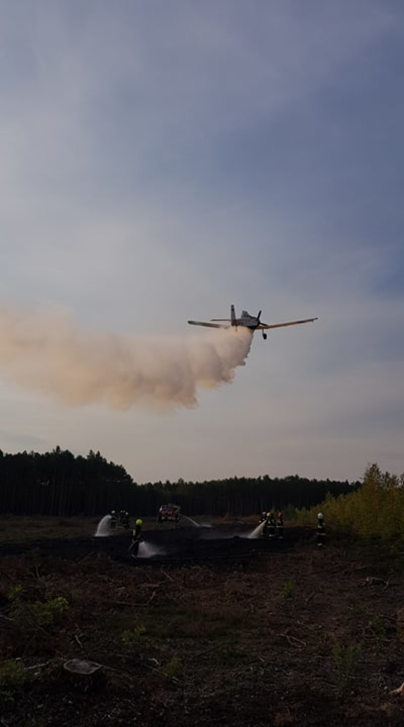 Gmina Miedzichowo. Podpalacz znów zaatakował! Gaszono z ziemi i z powietrza [ZDJĘCIA]