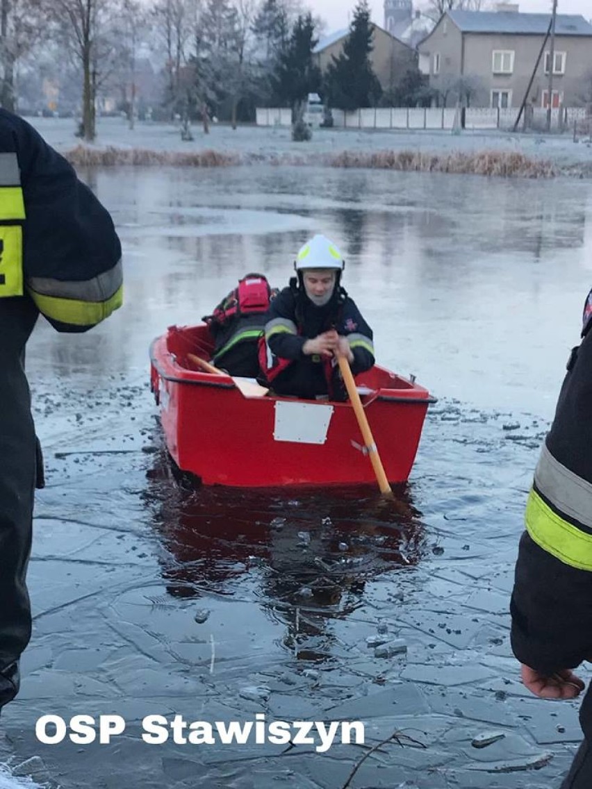 Strażacy uratowali psa, pod którym załamał się lód na stawie