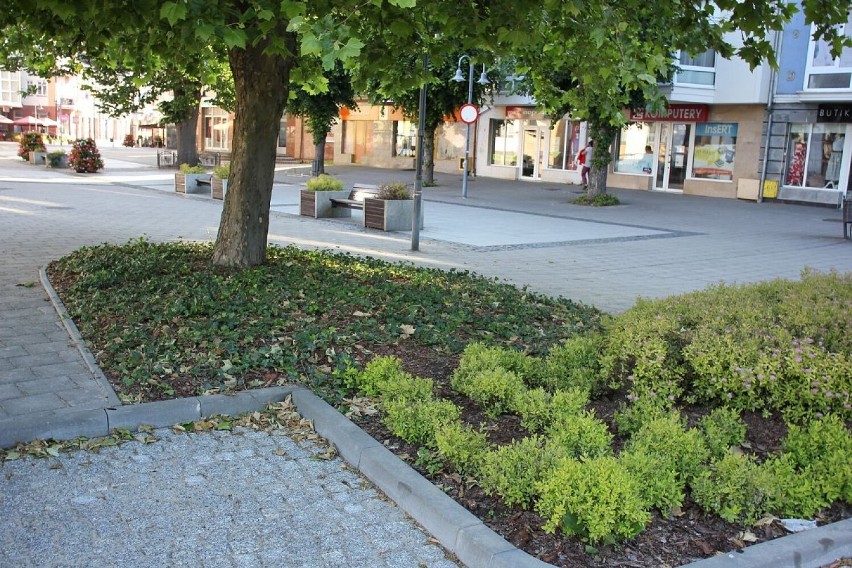 Oddano do użytku nowe miejsca parkingowe przy Alei Wolności w Lęborku