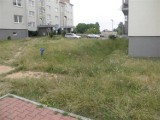 Bujna trawa zamiast pięknej zieleni - tak długo wyglądało osiedle przy ulicy Sucharskiego