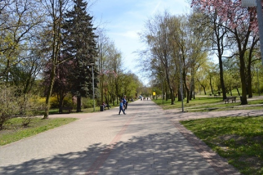 Śródmiejski Park Hallera jest chętnie odwiedzany przez...