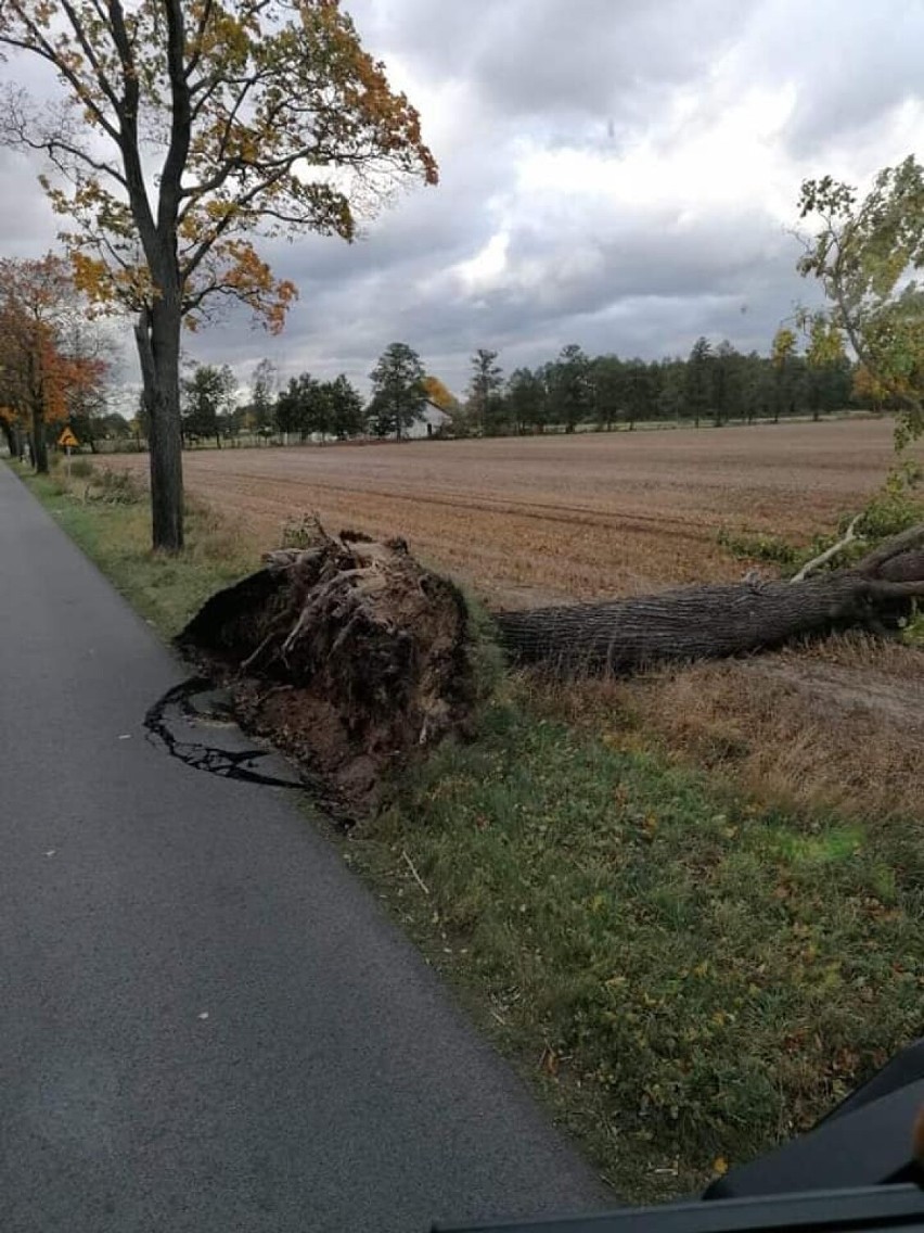 Wichura w powiecie grodziskim. Zerwane dachy powalone drzewa. Kilkadziesiąt interwencji strażaków w powiecie