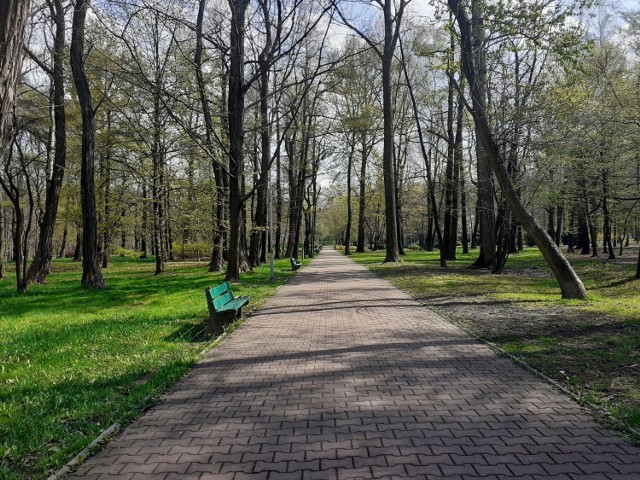 Wiosna zawitała do Parku Kościuszki w Katowicach. 

Zobacz kolejne zdjęcia. Przesuwaj zdjęcia w prawo - naciśnij strzałkę lub przycisk NASTĘPNE