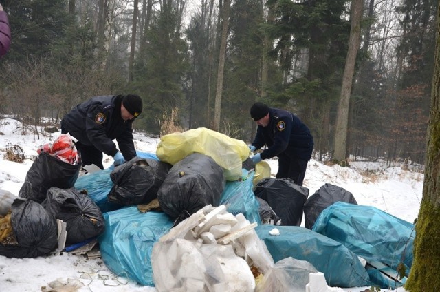 Dwa dzikie wysypiska to w sumie ok. 10 kubików odpadów