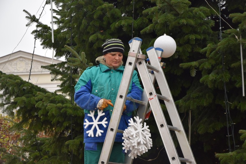 Choinka w Rybniku na rynku już stoi! Właśnie ją stroją!