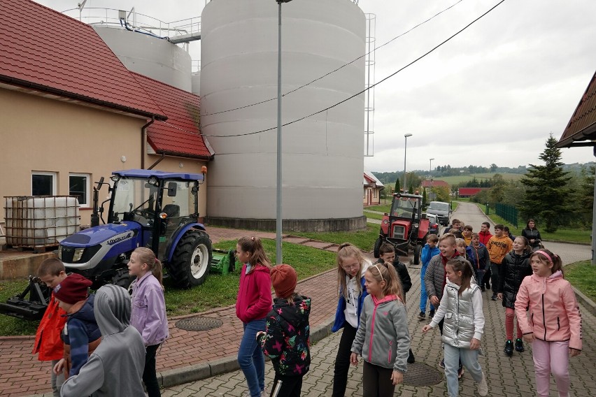 Uczniowie Szkoły Podstawowej w Jankowej podnoszą swoją świadomość ekologiczną