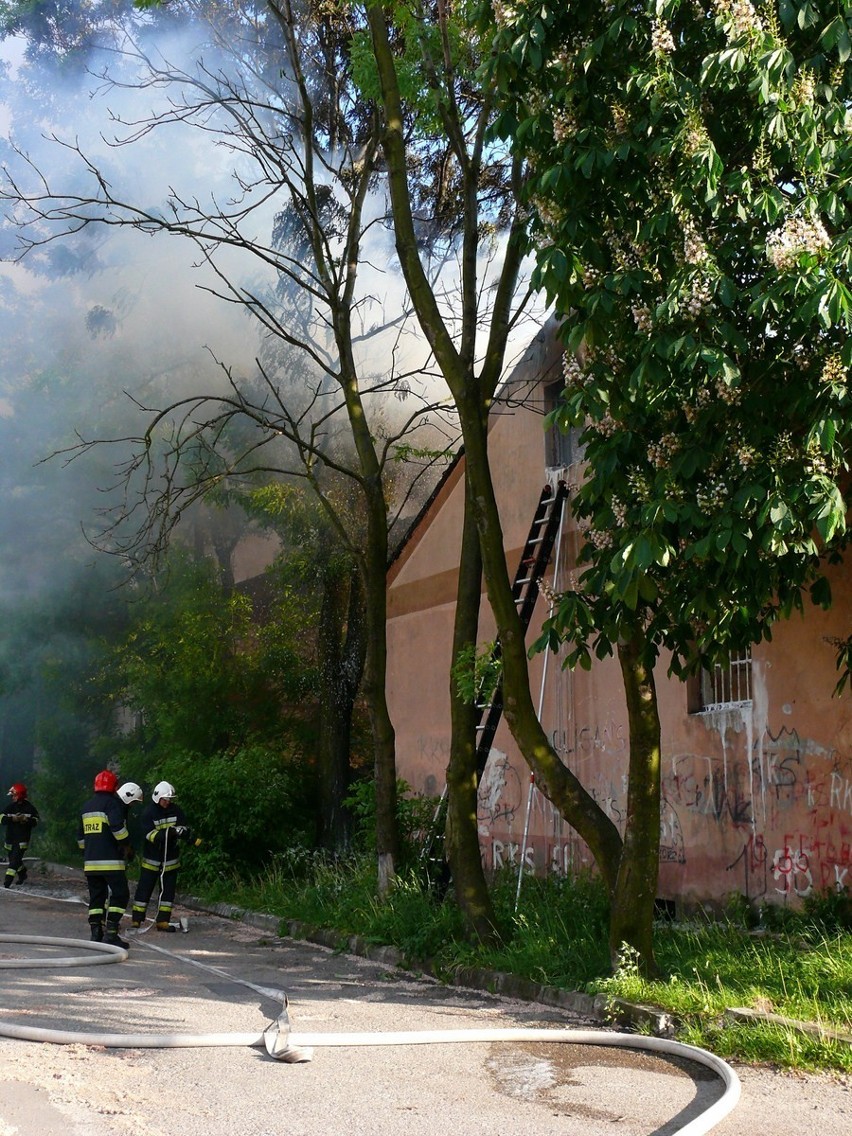 Pożar pustostanu w centrum Chełma