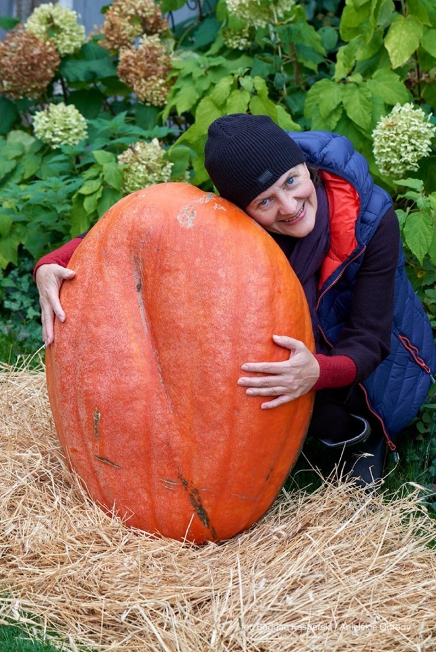 Dyniobranie w Anielskich Ogrodach. Jak się okazuje z dyń...