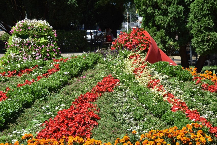 Gorzów ma odjechany kwietnik w centrum miasta! [ZDJĘCIA]