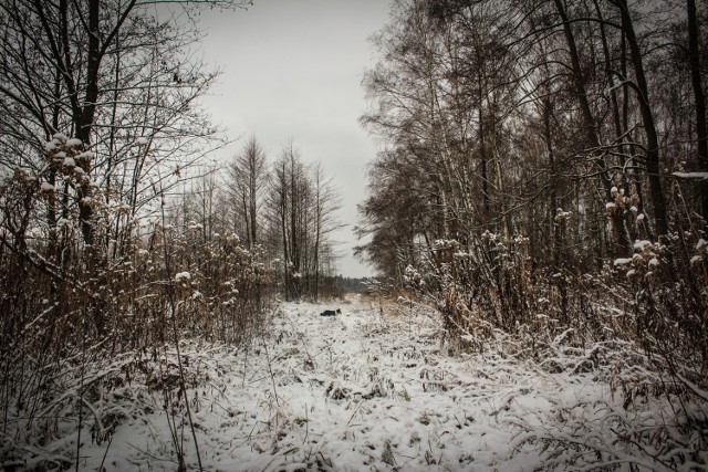 Zima w woj. lubelskim nie odpuszcza