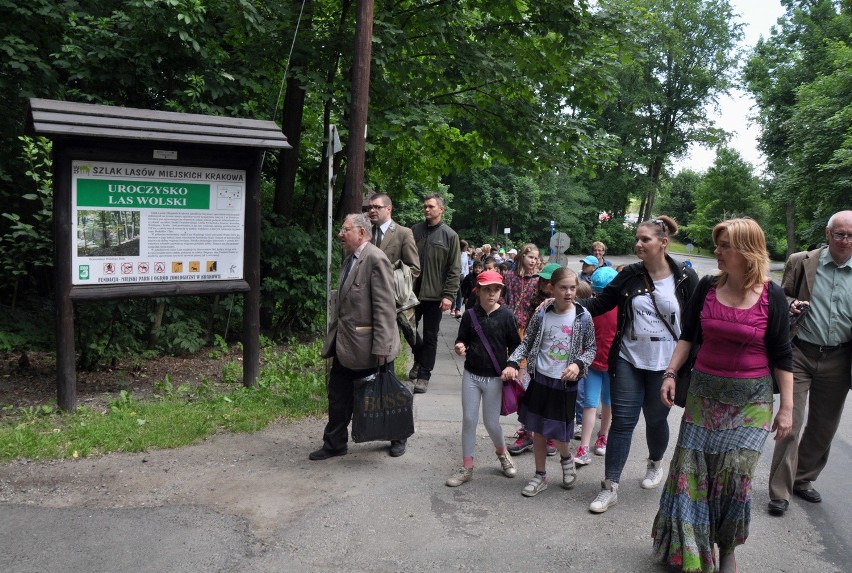 W Lesie Wolskim powstała pierwsza w Krakowie ścieżka edukacyjna [ZDJĘCIA, WIDEO]