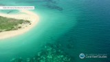 Wielka Rafa Koralowa zaczyna umierać. Epidemia rozciąga się na długości ponad tysiąca kilometrów (wideo)