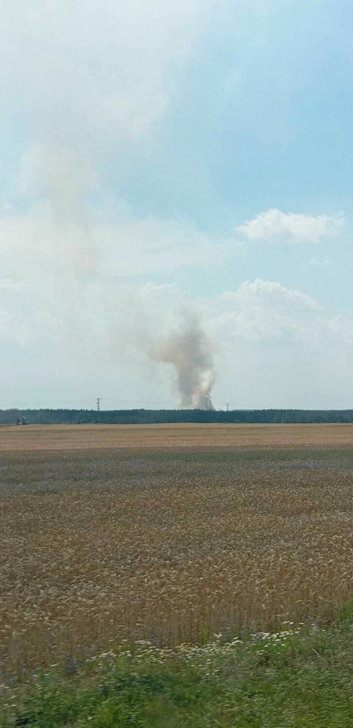 Ogień strawił 7 hektarów traw i wrzosowisk
