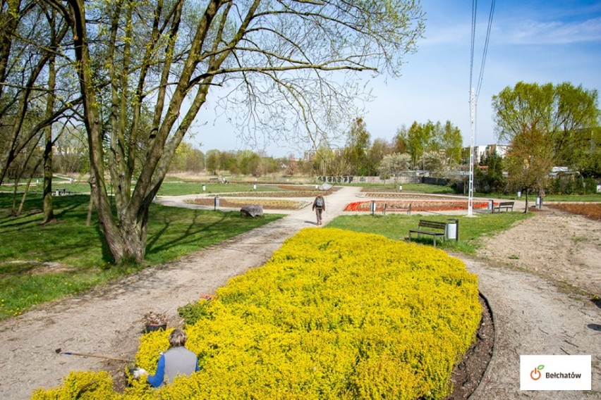 Wkrótce Bełchatów się zazieleni, będzie też plaża ZDJĘCIA