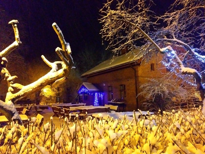 Toruń: Tak wygląda Barbarka nocą! Zobacz piękne zdjęcia