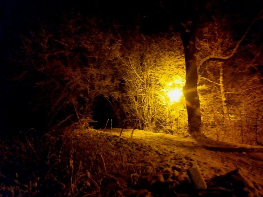 Toruń: Tak wygląda Barbarka nocą! Zobacz piękne zdjęcia