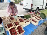 Sezon na truskawki już trwa. Jakie są ceny truskawek w Bełchatowie? FOTO, VIDEO