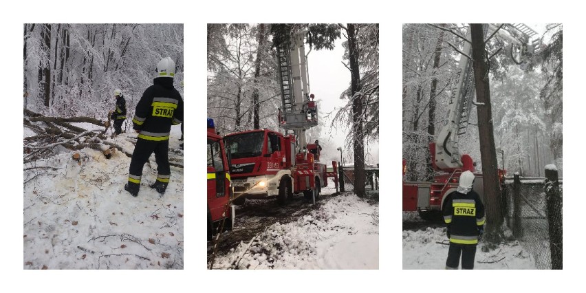 Atak zimy w powiecie gdańskim. W środę, 6.01.2021 strażacy mieli ręce pełne roboty - wzywano ich do drzew powalonych na jezdni