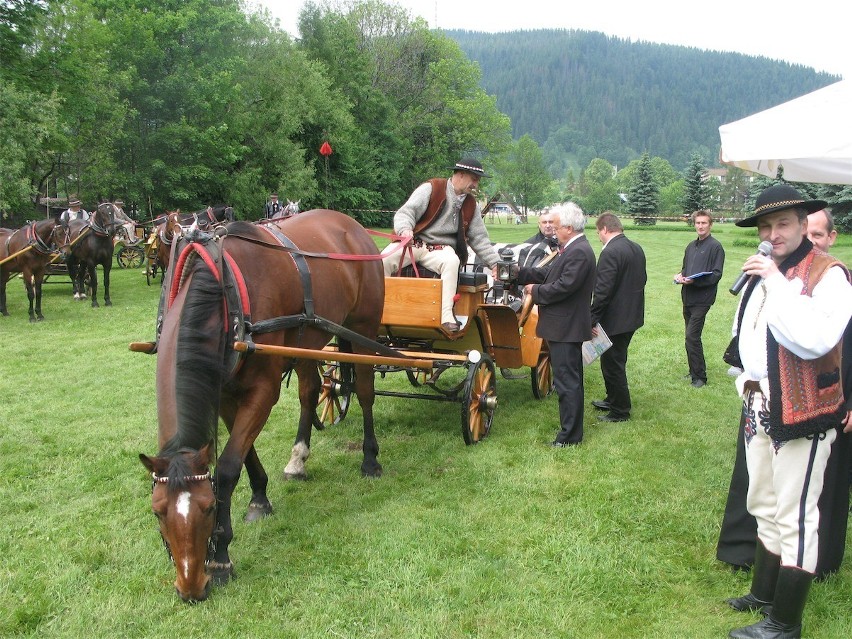 Zakopane: góralskie dorożki są w pełni sprawne [FOTO]