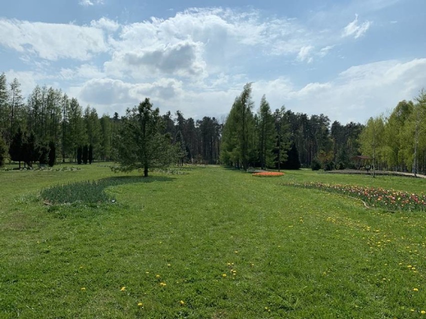 Arboretum w Stradomi wkrótce czynne dla turystów! (ZDJĘCIA Z OGRODU)