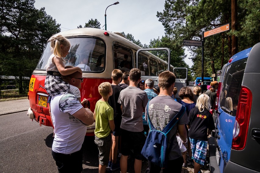 Zwierzęta były ciekawe, nawet fascynujące dla niektórych,...