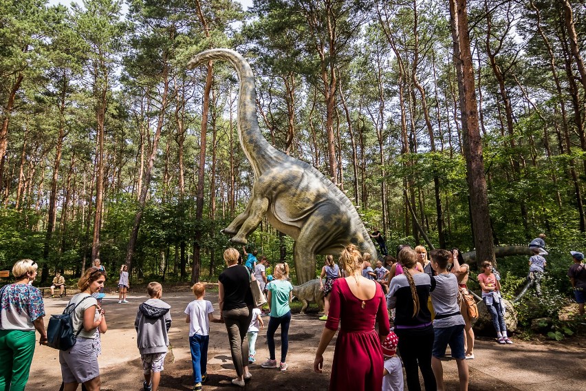 W „Zaginionym świecie”, mimo że dinozaury były olbrzymie,...